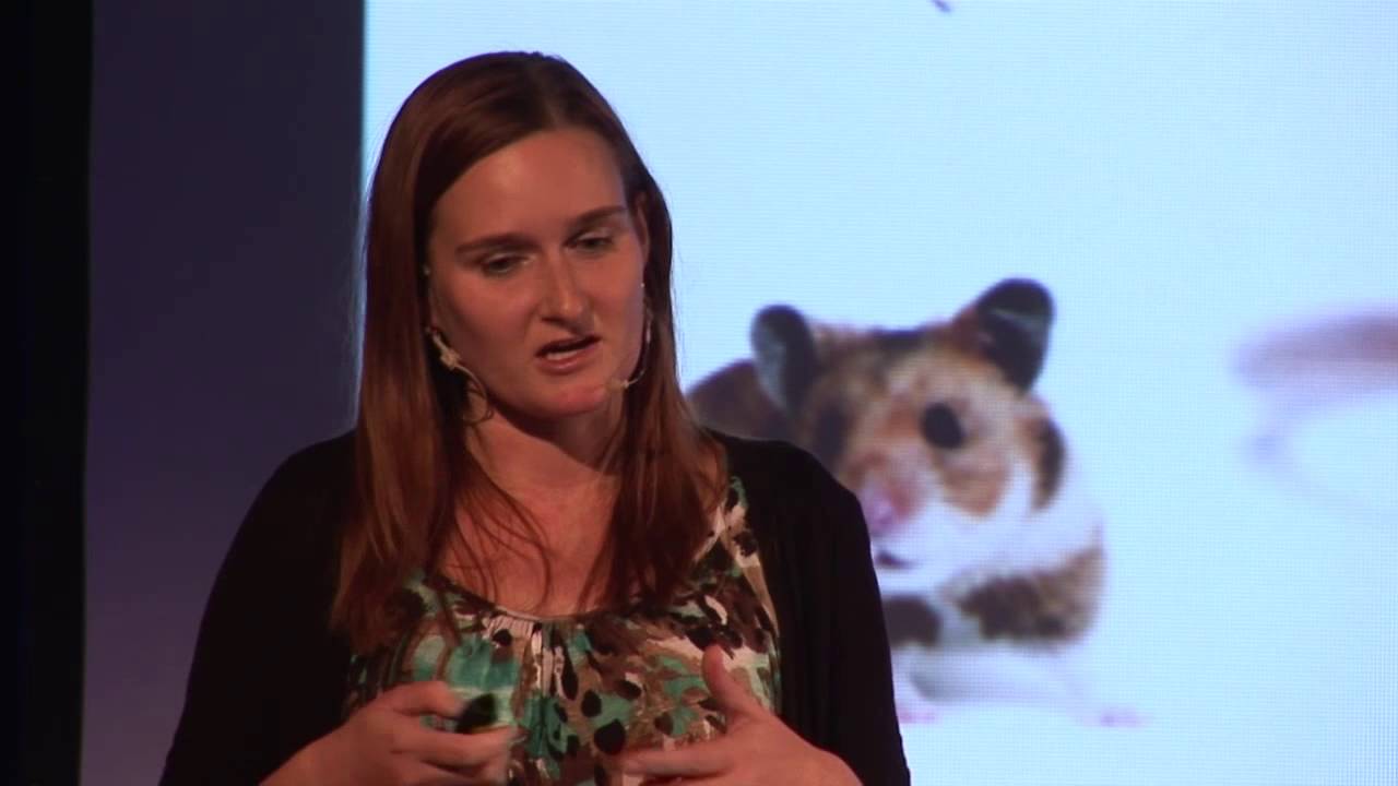 Fascinující drama vzniku nového lidského života | Zuzana Holubcová | TEDxZlín