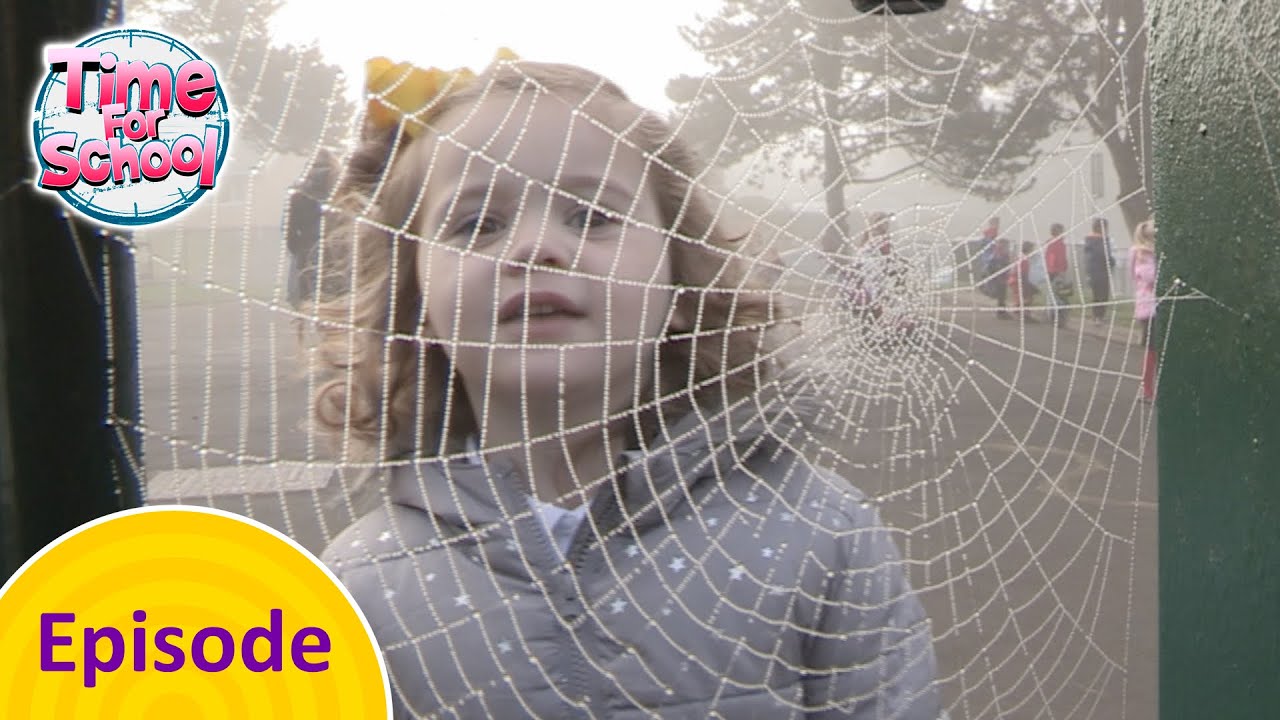 Creatures & Critters | Time For School FULL EPISODE
