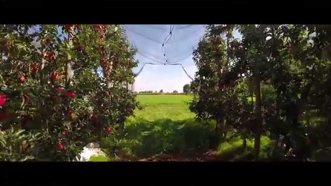 Rivoira e mele ambrosia, il connubio perfetto (extended version)