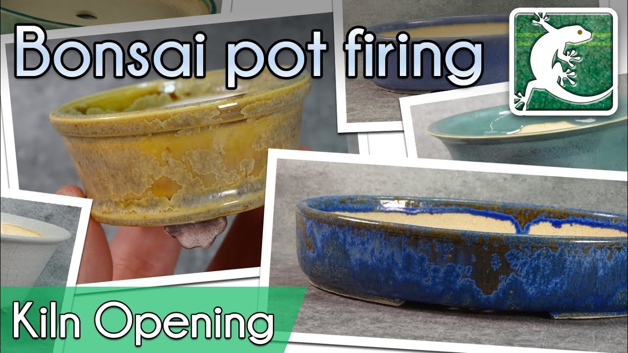 Kiln opening - Bonsai pots Greg-Ceramics - Nov 2020