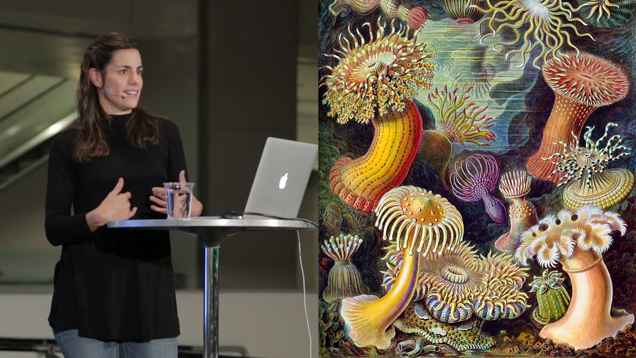 Amazing Anemones - AMNH SciCafe