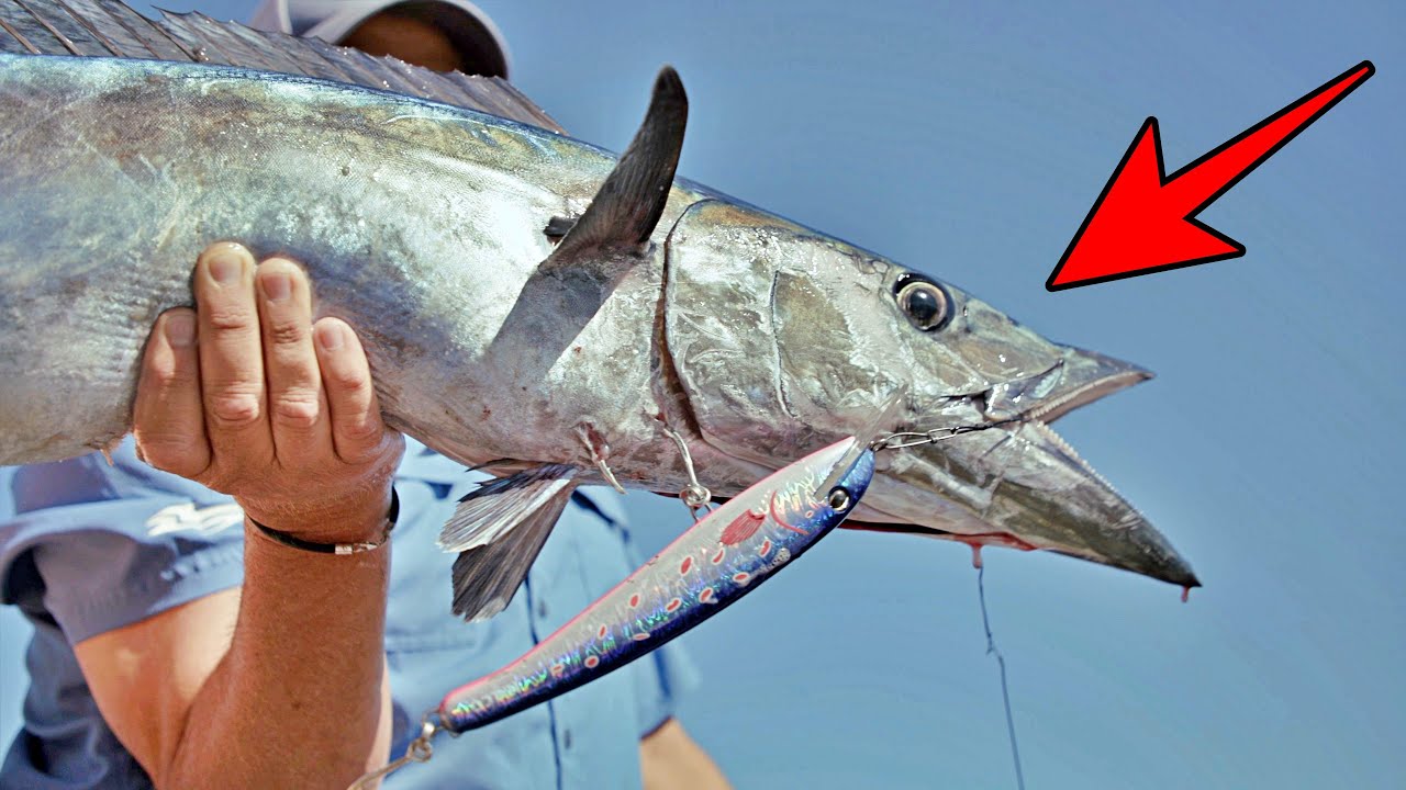 Built To Last 💪 Halco's NEW Heavy Duty Trolling Lure