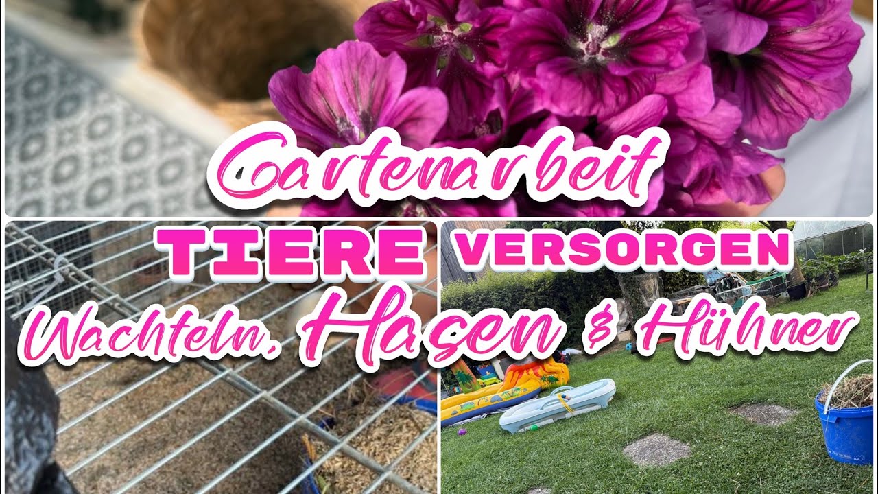 Gartenarbeit / Hasen, Wachteln & Hühner aufräumen clean with me
