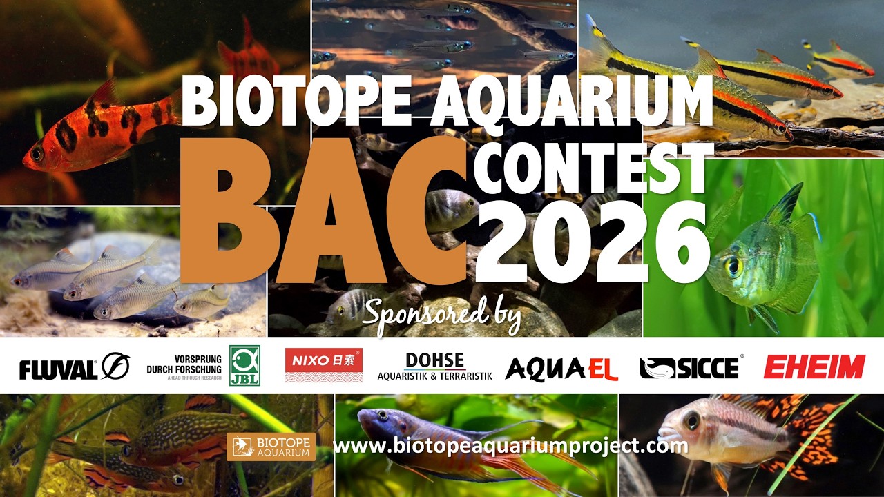 BIOTOPE AQUARIUM CONTEST 2025