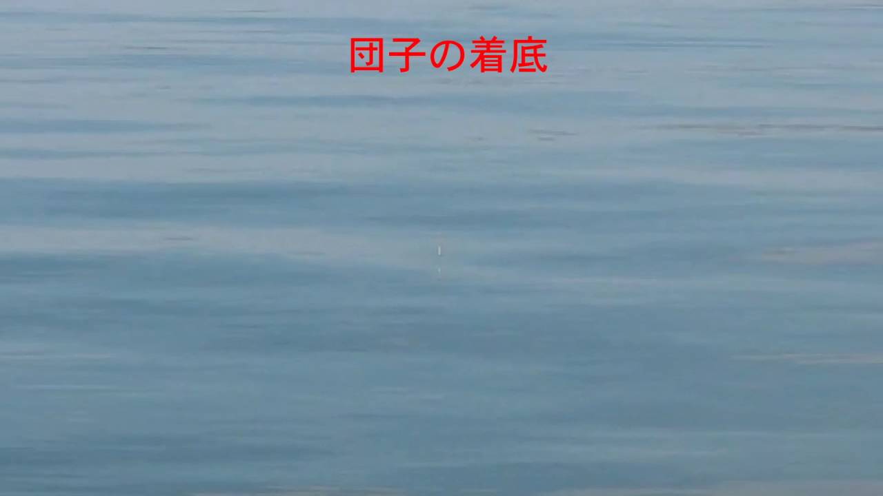 【淡路島で紀州釣り】遠矢うき「TD45」の動き