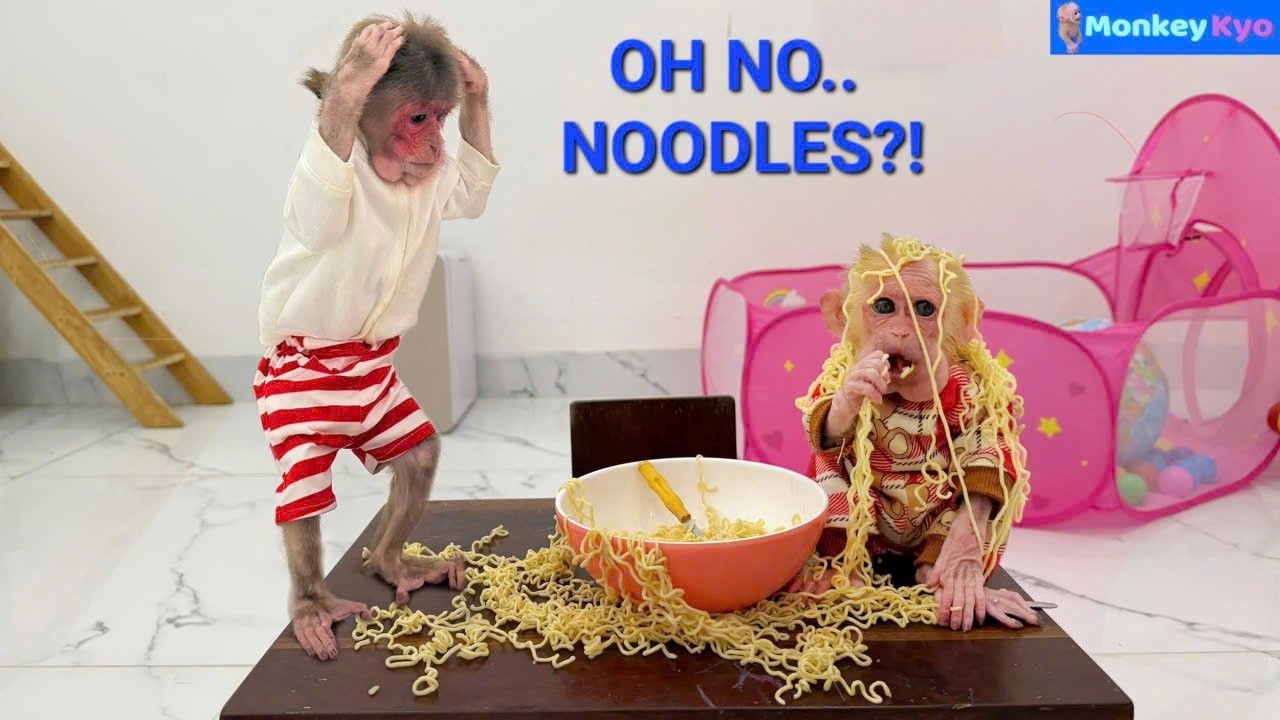 Monkey BuNa Tries Noodles for the First Time… Kyo Can’t Believe It! 😂