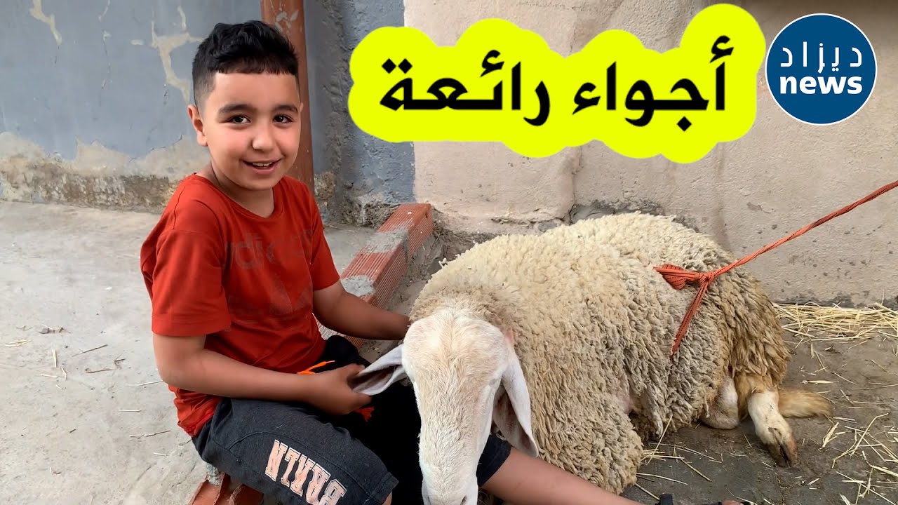أجواء رائعة في حي 
