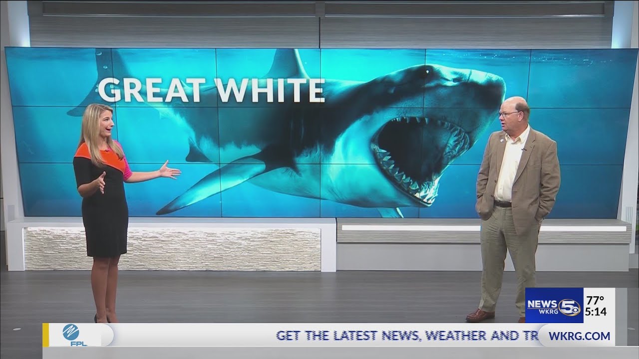 WKRG News 5 This Morning