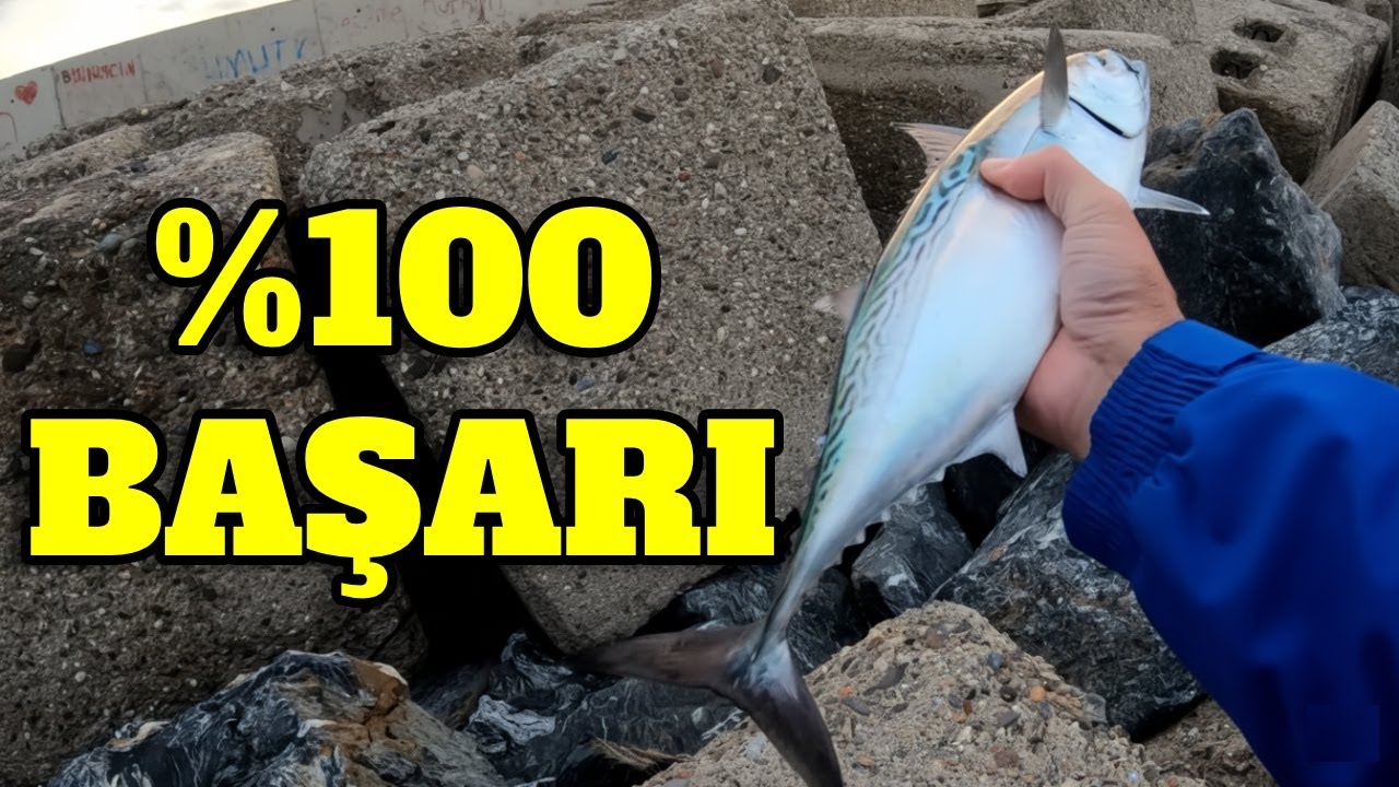 BÜYÜK BALIKLARI %100 YAKALA! | Top Arkası Silikon Takımı USTALIK GEREKTİRMEYEN TEKNİK KANITLI YÖNTEM