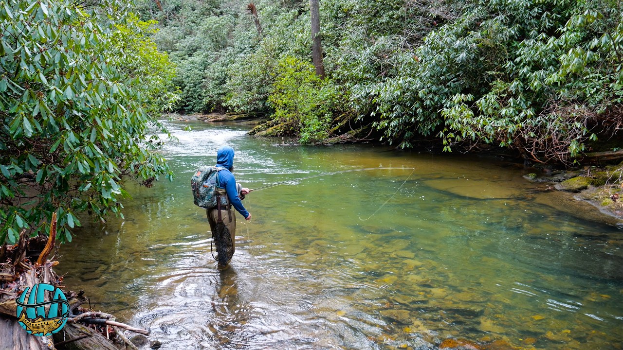 The Most Insane Place to Trout Fish... (2 Days of Fly Fishing)