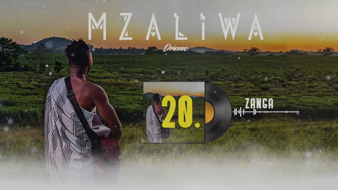 DRIEMO - ZANGA (official audio visualizer) #Mzaliwa #malawi #afrobeat