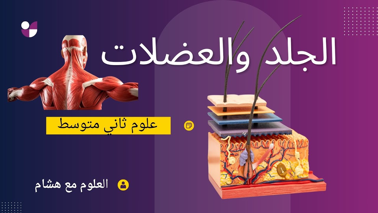 كيف يحميك الجلد وتتحرك العضلات؟ 💪 شرح الجلد والعضلات | علوم ثاني متوسط 1447هـ