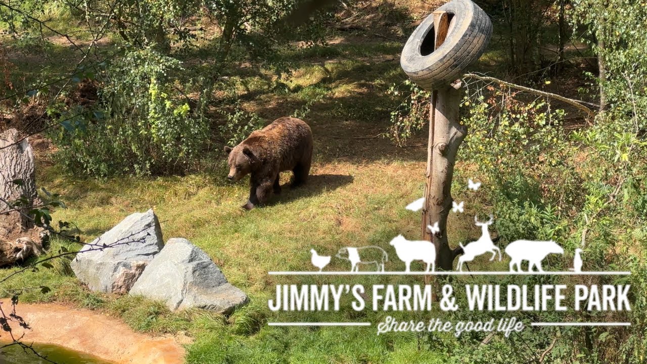 Diego at Jimmy’s Farm - Brown Bear Talk