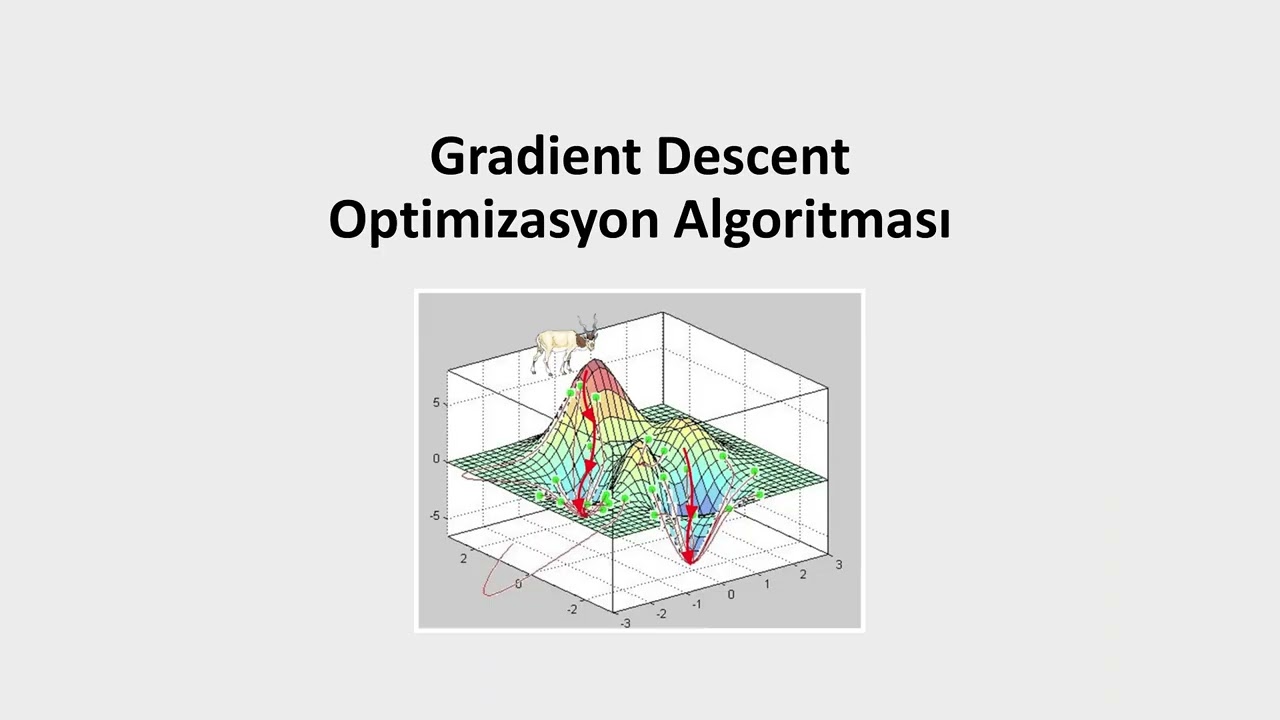 Gradient Descent Optimizasyon Algoritması (Bias, Weight ve Learning Rate kavramları)
