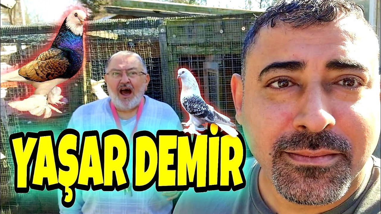 YAŞAR DEMİR - YARIM DÜNYA KUŞLARI!!