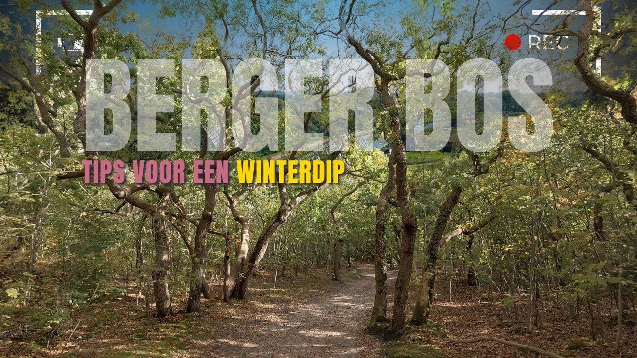 Wandelen in het Berger Bos &ndash; zo kom ik mijn winterdip door 🌲✨