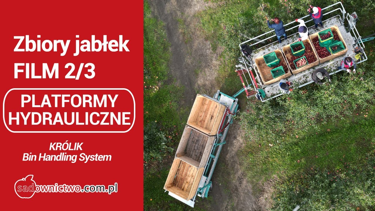 Zbiory jabłek - część 2/3 - PLATFORMY HYDRAULICZNE