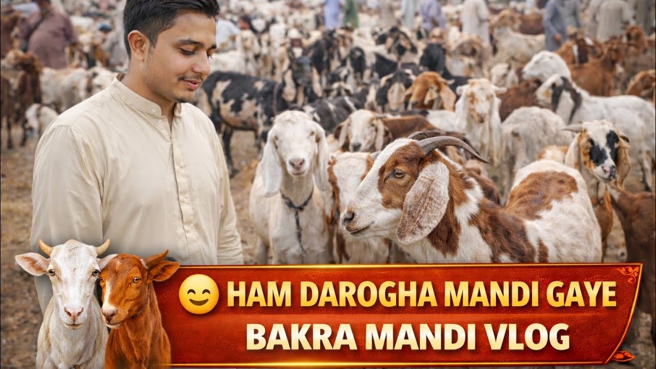 Aaj Ham Darogha Wala Mandi Gaye | Visit to Mandi |