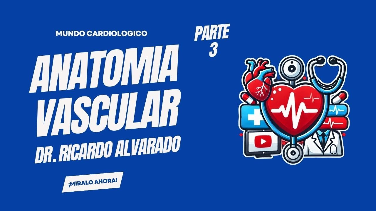 ANATOMIA VASCULAR - PARTE 3: ANATOMIA ARTERIAL PULMONAR