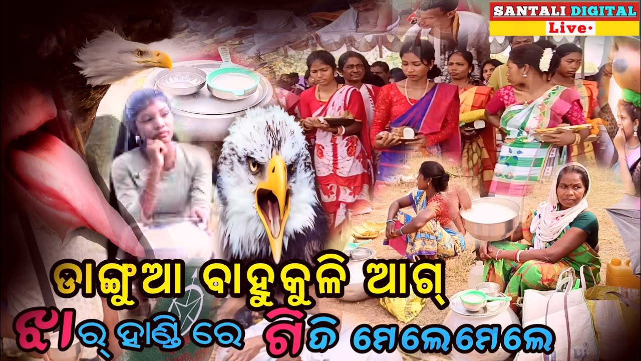 Jhar handi re Gidi Mele mele || Santali Viral Video || @SantaliDigitalLive