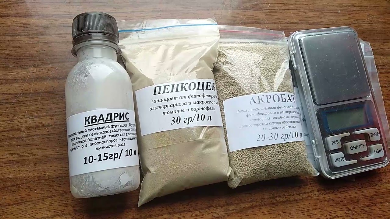 Томаты в ОГ. Моя схема обработок.