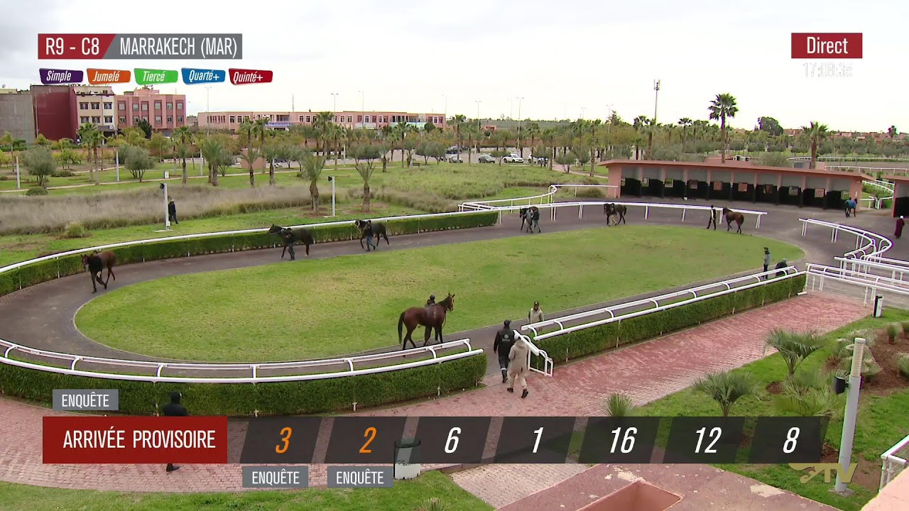 Live Hippodrome « MARRAKECH Courses du « 03/02/2026 »