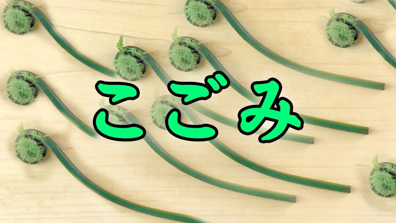 こごみ 下処理