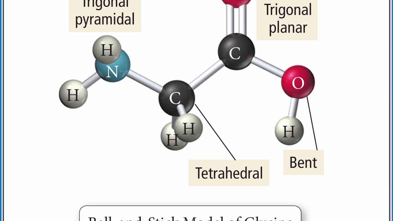 CHEMISTRY 101 - Predict the shapes of larger molecules