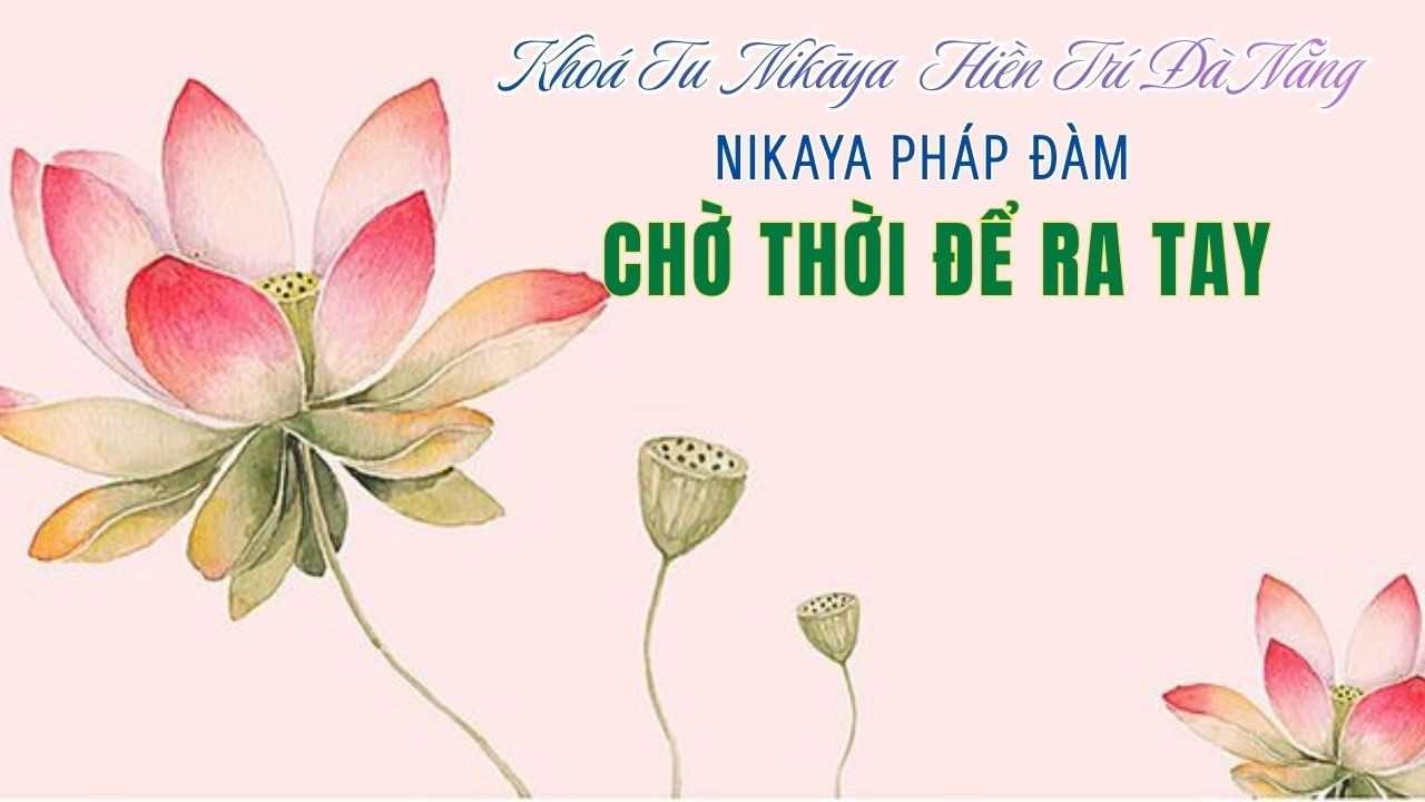 NIKAYA Pháp Đàm - Chờ Thời Để Ra Tay 