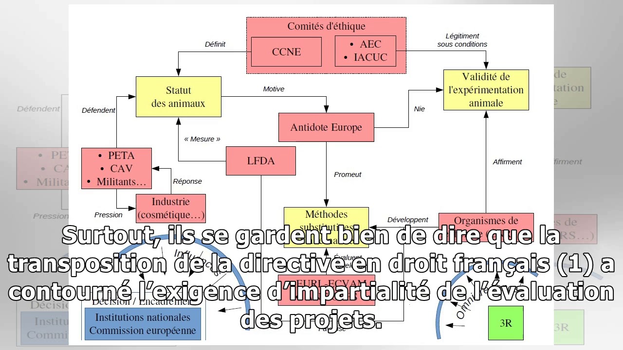 Exp&eacute;rimentation animale&nbsp;: une&nbsp;controverse scientifique