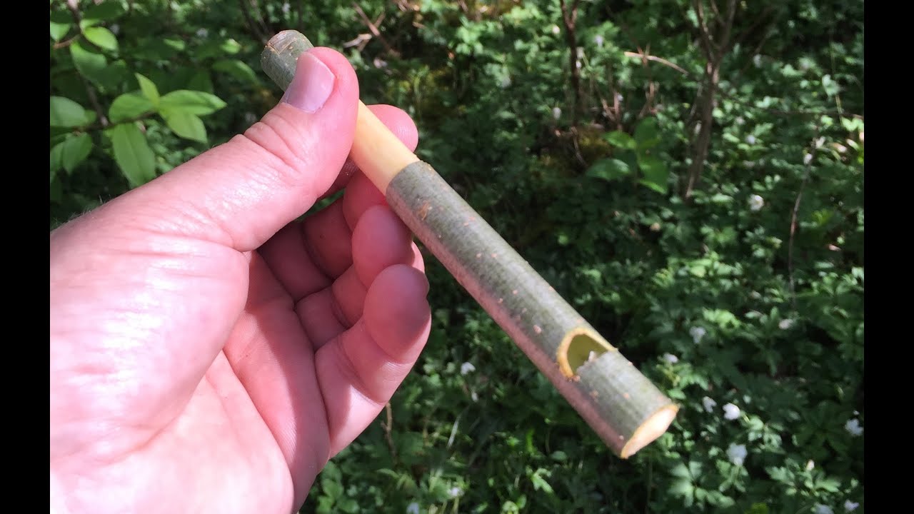 Sälgpipa & Rönnpipa