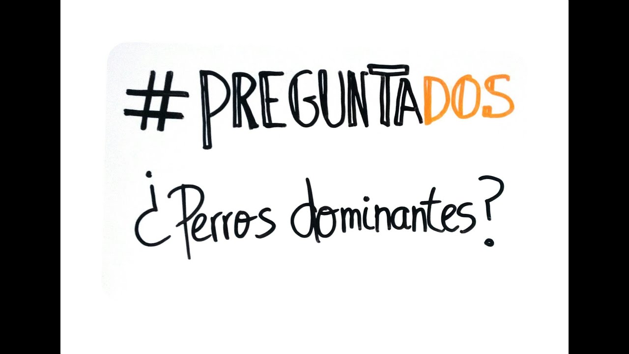 &iquest;Es mi perro dominante? - errores comunes