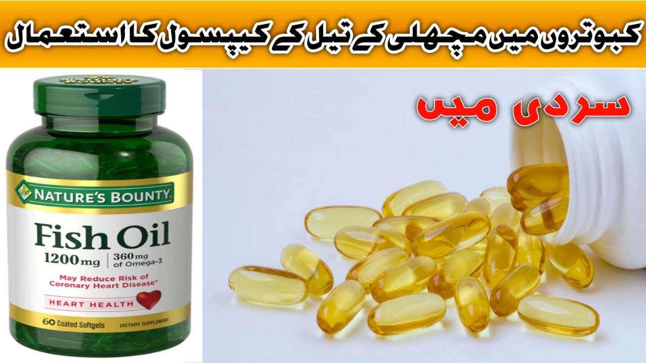 How To Benefits  Fish Oil In Pigeon Kabootar Min Machali ke til ka istamaal (urdu/hindi)