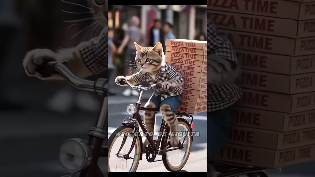 Gato 🐈 #alofokeeliluminado #alofokeradioshow #shorts #short  #viral