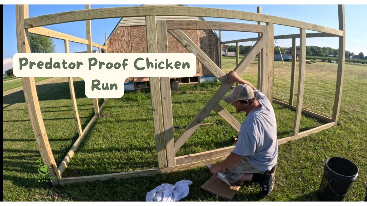Adding A Predator Proof Chicken Run to My Coop