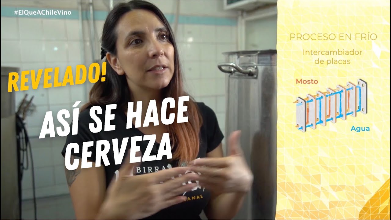 Cómo se hace la cerveza? | Procesos de producción de Cerveza!