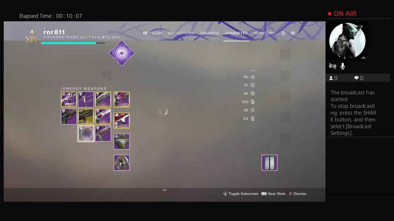 rnr811's New Pinnacle Weapon