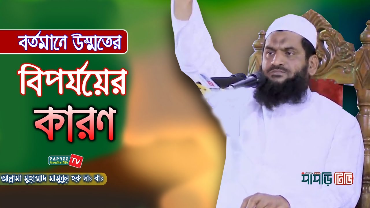 বর্তমানে উম্মতের বিপর্যয়ের কারণ || Allama Mamunul Haque || New Waz 2020 || Papree Tv