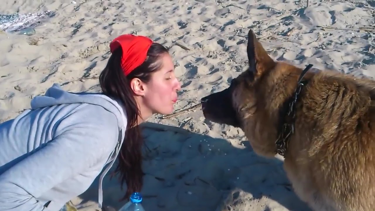 Girl water German Shepherd bitch