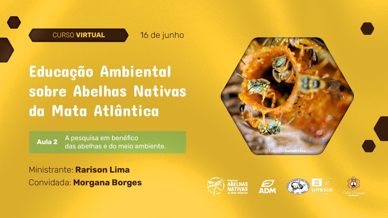 Aula 2. do Curso de Educação Ambiental sobre Abelhas Nativas da Mata Atlântica