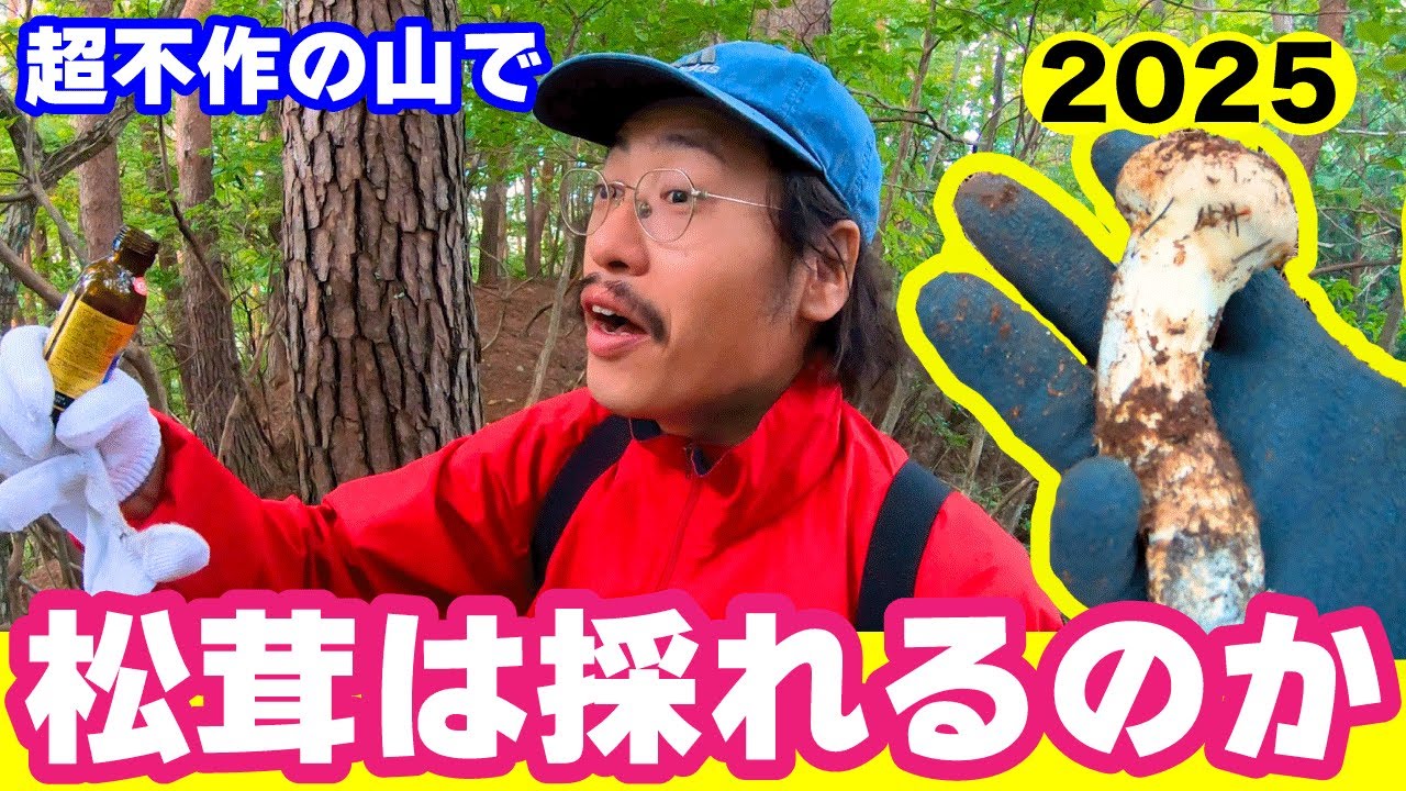 【松茸2025】超不作の山でなけなしの松茸が…⁈