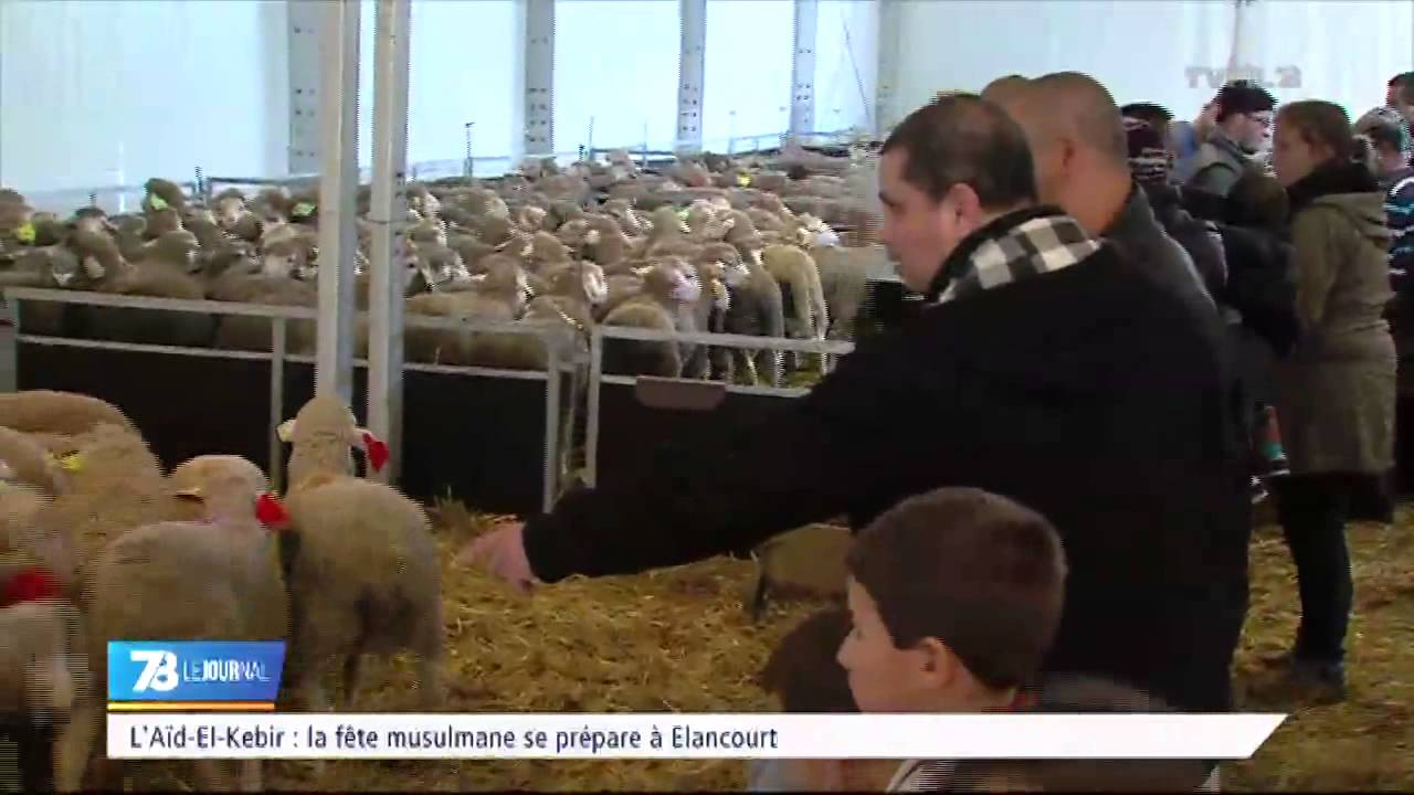 L'A&iuml;d-El-Khebir : la f&ecirc;te musulmane se pr&eacute;pare &agrave; Elancourt