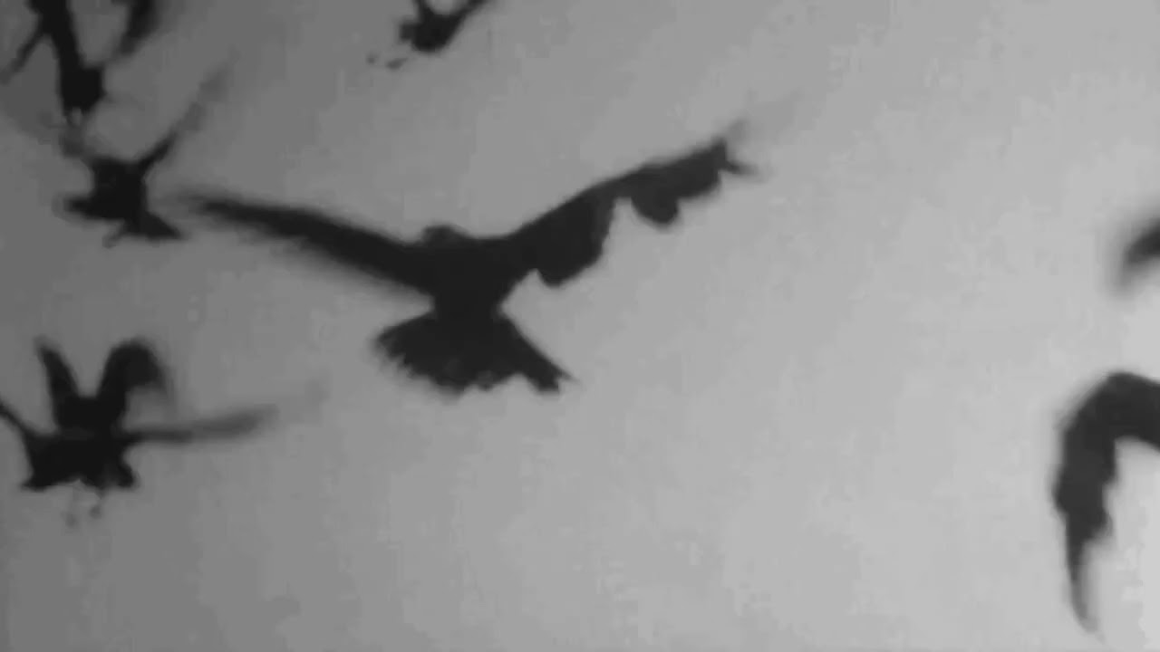 summrs - rino hercules (slowed + reverb)