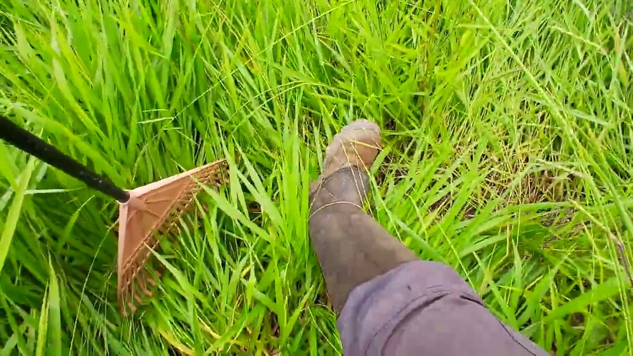 Cuidados e excenciais ao caminhar em matagal e áreas remotas.