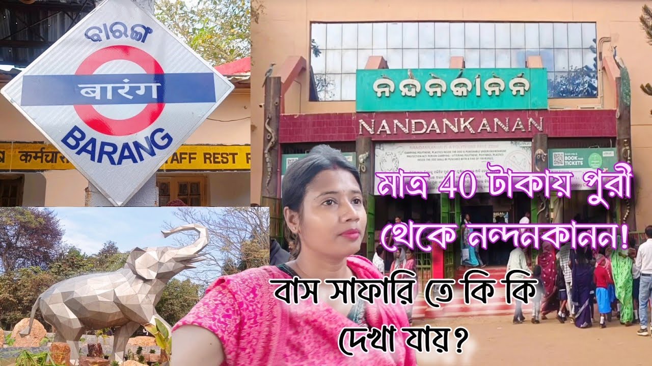 Puri to Nandankanan trip at Rs 40? Bus safari ride এ কি কি দেখা যায়? #puritonandankanan #puri 