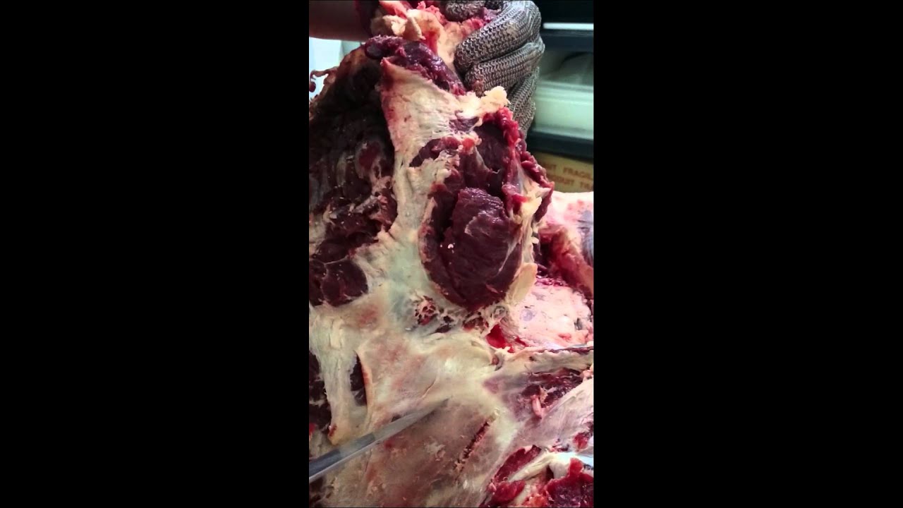 cuisse de Boeuf Désossage BCUH