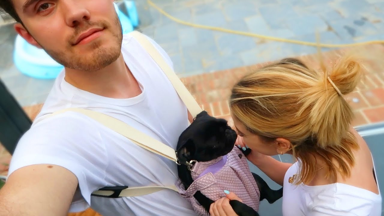 WE HAVE A DOG...NOT A BABY!