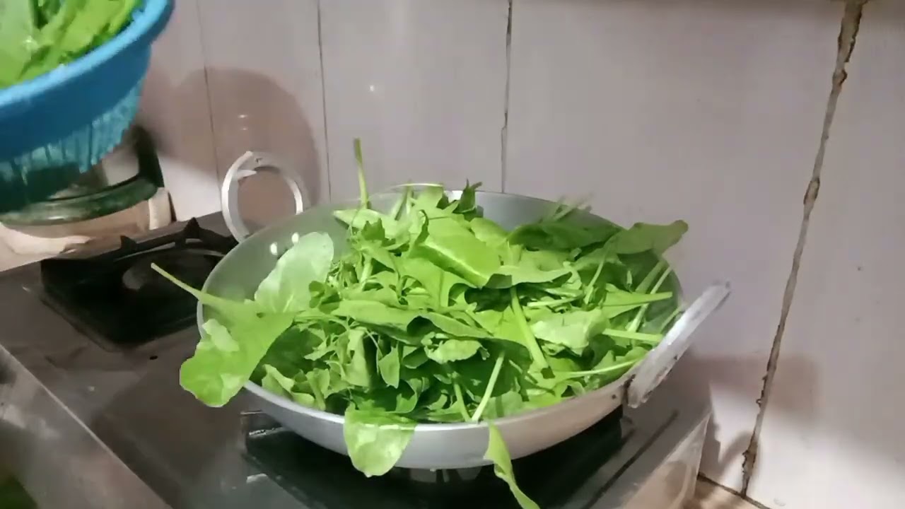 देखिए♥️ आज खेतों से क्या💐आया और 💐हमने क्या  बनाया 🌺