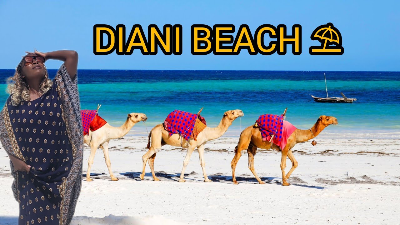 EXPLORING DIANI BEACH ⛱️ |THE PARADISE ON KENYA COAST 🇰🇪 