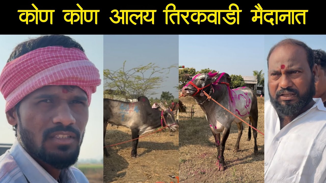 कोण कोण आलय तिरकवाडी मैदानात 
